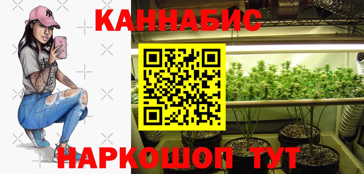 Шишки марихуана THC 21%  Канабис семена  Вход с VPN  Новотроицк  Канабис планчик 